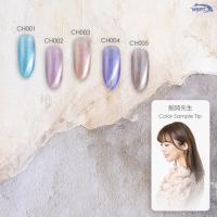 WSPT JAPAN ライジンジェル マグネットカラーネイル 7ml シャンパンシリーズ 5色セット