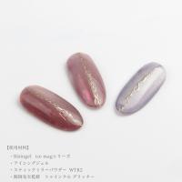 WSPT JAPAN ライジンジェル マグネットカラーネイル 7ml アイスシリーズ 6色セット