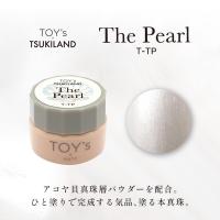 TOY's×INITY ザパール T-TP