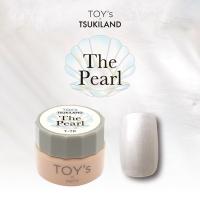 TOY's×INITY ザパール T-TP