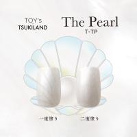 TOY's×INITY ザパール T-TP