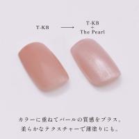 TOY's×INITY ザパール T-TP