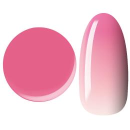 □NYCOGEL カラージェル 4g M100