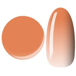 □NYCOGEL カラージェル 4g M115