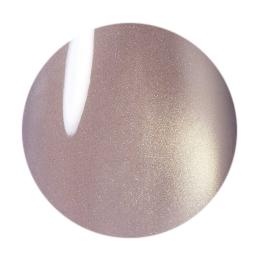 ココイスト テラマグネットシリーズ 10g TM-48 ストーンミスト