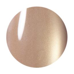 ココイスト テラマグネットシリーズ 10g TM-51 マッシュルームストーン