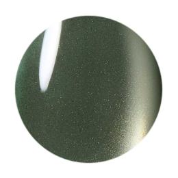 ココイスト テラマグネットシリーズ 10g TM-53 ディープフォレスト