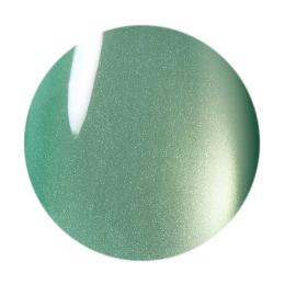 ココイスト テラマグネットシリーズ 10g TM-54 アクアグロー