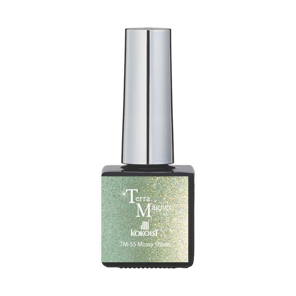 ココイスト テラマグネットシリーズ 10g TM-55 マウジーストーン