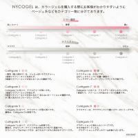 □NYCOGEL カラージェル 4g M13