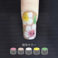 アイニティ 検定コレクション カラージェル 3g コーラルピンク KC-02M