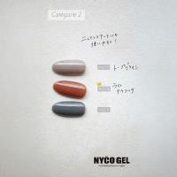□NYCOGEL カラージェル 4g M374
