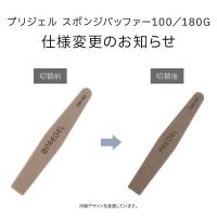 PREGEL スポンジバッファー 100/180G 10本セット PG-BUFFER-BK10