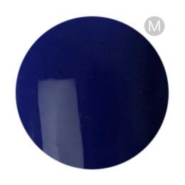 ベラフォーマ カラージェル 4ml F214 ラディアントブルー