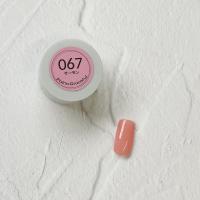 Palms Graceful カラージェル 3g 067 サーモン