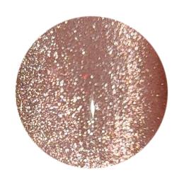 ICE GEL ジェントロン スターギャラクシージェル シア 3g L2621 シアモカ