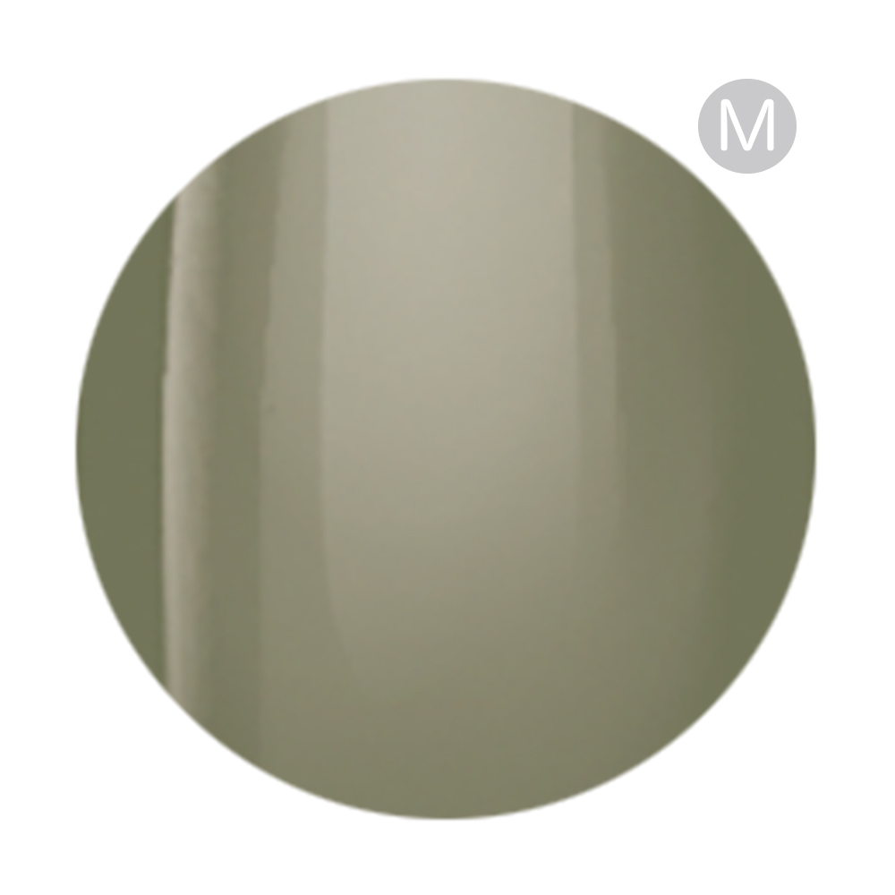 アイニティ ハイエンドカラー 3g NE-05M スモーキーリーフ