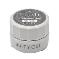 アイニティ ハイエンドカラー 3g NE-06M チャコールグレイ