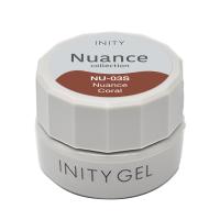 アイニティ ハイエンドカラー 3g NU-03S ニュアンスコーラル