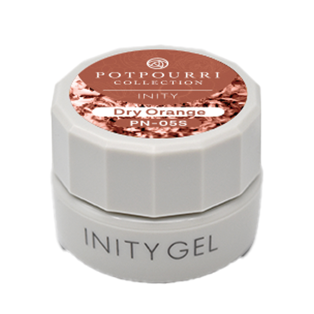 アイニティ ハイエンドカラー 3g PN-05S ドライオレンジ