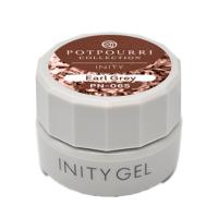 アイニティ ハイエンドカラー 3g PN-06S アールグレイ