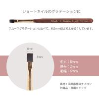 Krimth ワンダーアップジェルブラシ スムースグラデーションショート ソフト