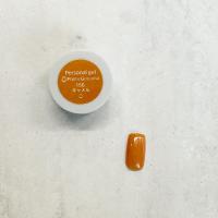 Palms Graceful カラージェル 3g 156 キャメル