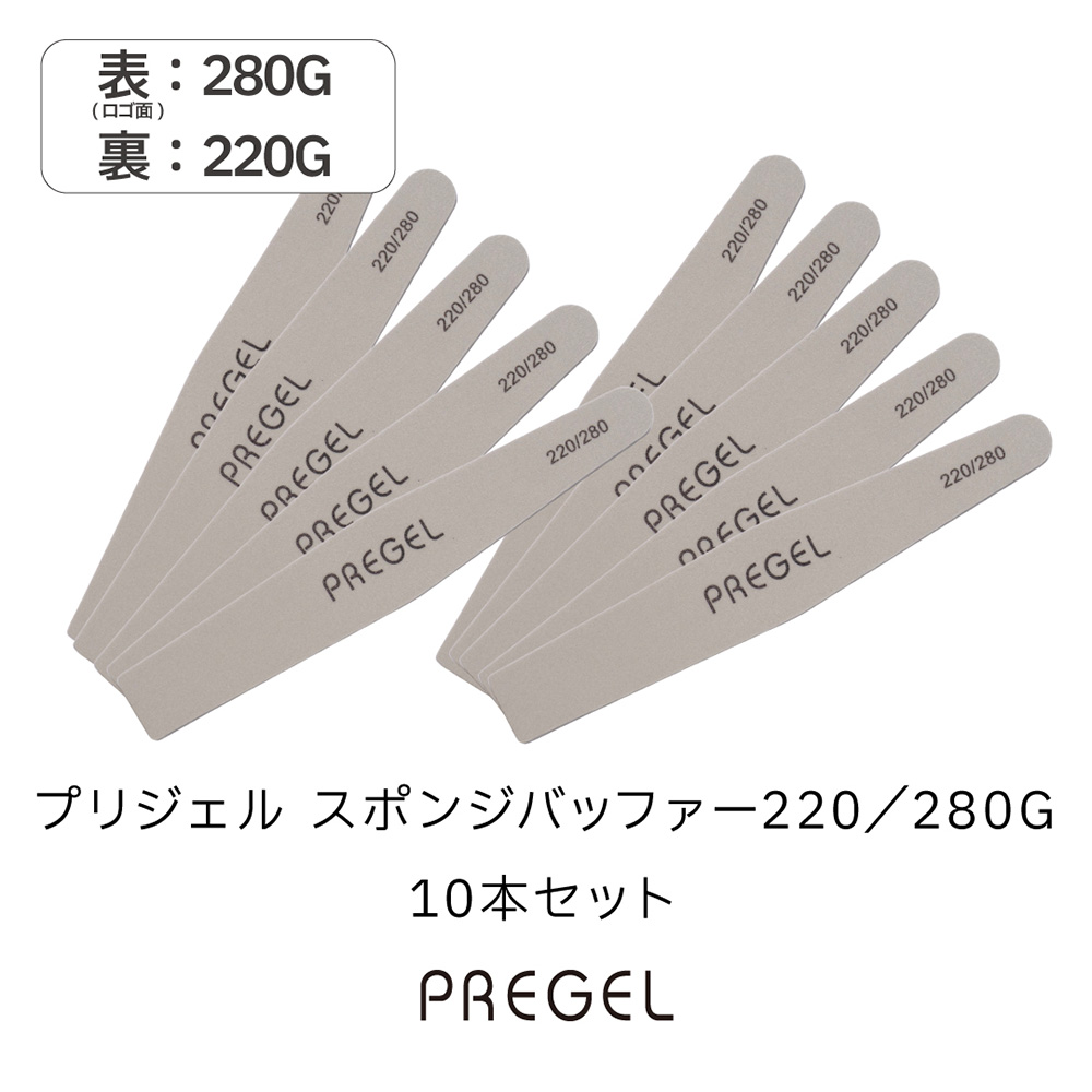 PREGEL スポンジバッファー 220/280G 10本セット PG-BUFFER-LG10