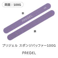 PREGEL スポンジバッファー 100G PG-BUFFER-V