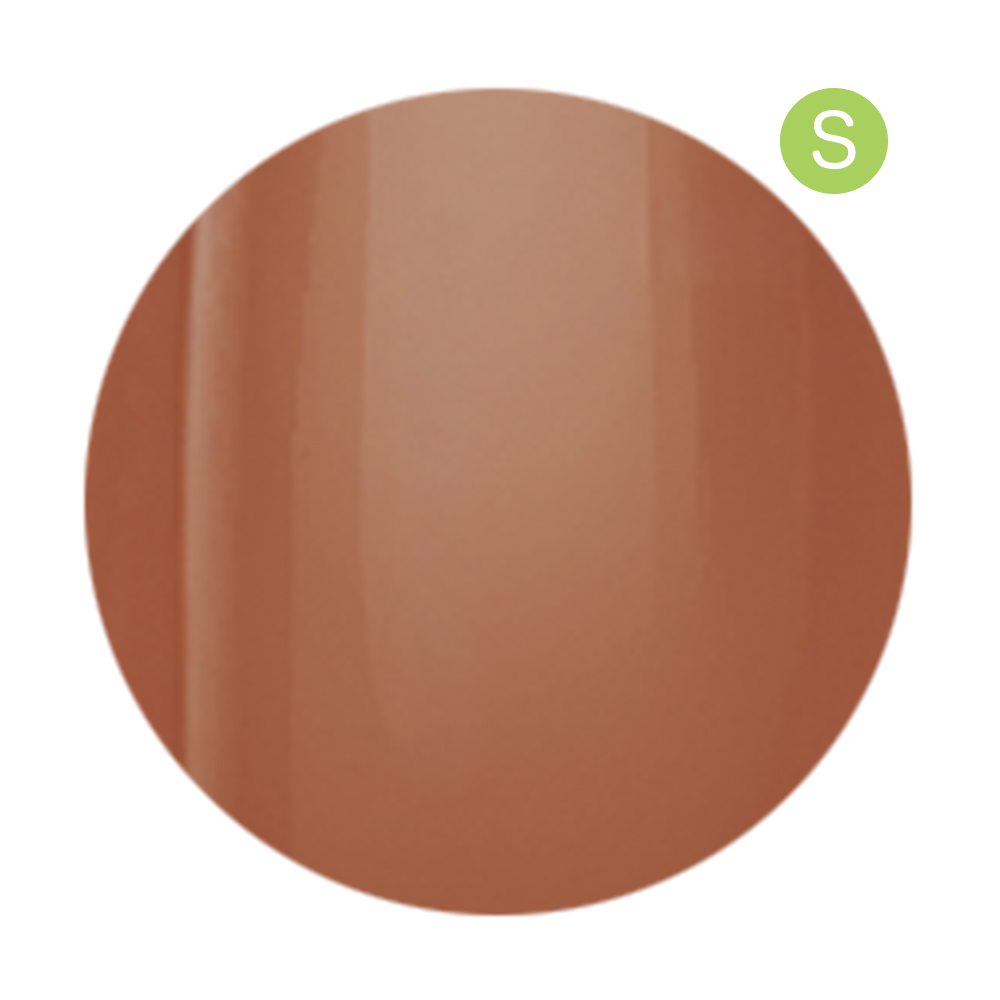 アイニティ ハイエンドカラー 3g SC-04S なつめ