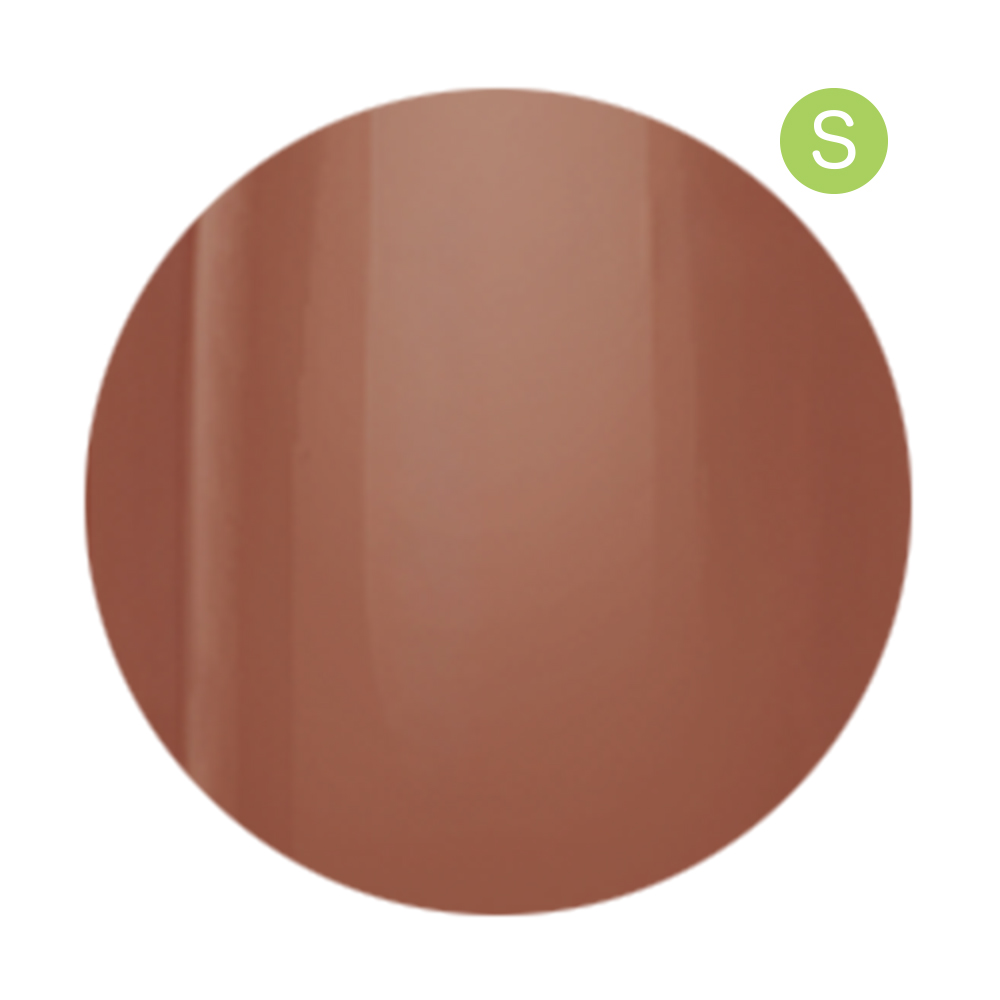 アイニティ ハイエンドカラー 3g SC-05S クローブ