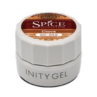 アイニティ ハイエンドカラー 3g SC-05S クローブ