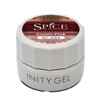 アイニティ ハイエンドカラー 3g SC-06S クミンピンク