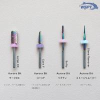 WSPT JAPAN オリジナル 中級ビットセット 使用方法解説動画付き