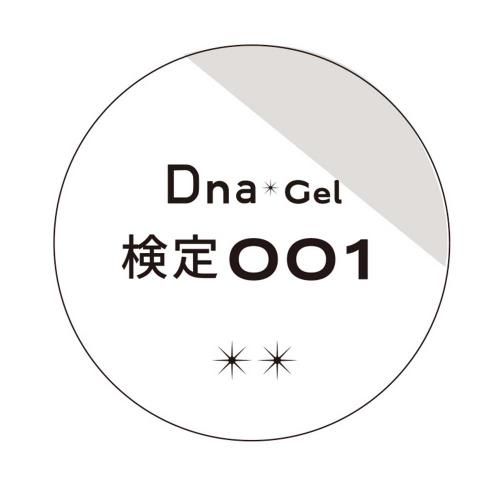 Dna Gel カラージェル 2.5g 検定001 ホワイト