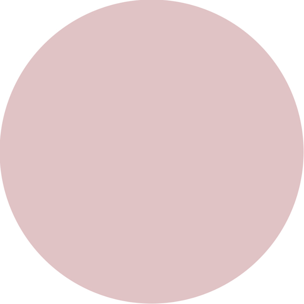 NAIL DE DANCE パウダー スウィング 20g SW-5