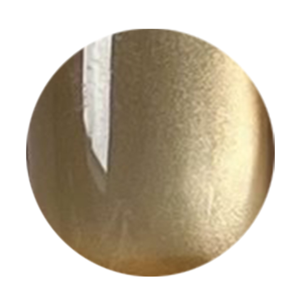 NOVEL ヴェロアマグ 2.5g リッチシャンパン MG02 #1642