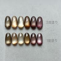 NOVEL ヴェロアマグ 2.5g リッチシャンパン MG02 #1642