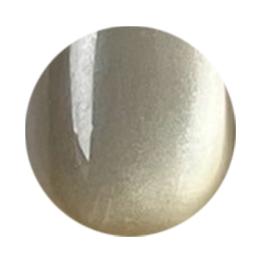 NOVEL ヴェロアマグ 2.5g パールシャンパン MG03 #1643