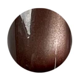 NOVEL ヴェロアマグ 2.5g ダスティーワイン MG05 #1645