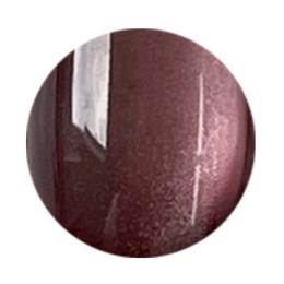 NOVEL ヴェロアマグ 2.5g ジューシーモーヴ MG06 #1646