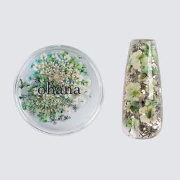 ‘ohana エバーラスティング プティフルール 02 #8683