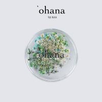 ‘ohana エバーラスティング プティフルール 02 #8683