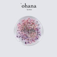 ‘ohana エバーラスティング プティフルール 03 #8684