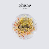 ‘ohana エバーラスティング プティフルール 05 #8686