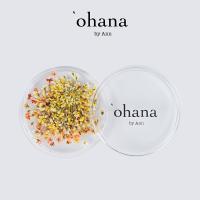 ‘ohana エバーラスティング プティフルール 05 #8686