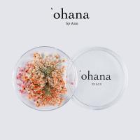 ‘ohana エバーラスティング プティフルール 06 #8687