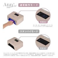 Ann Professional コードレスLED&UVライト プレーン #6509