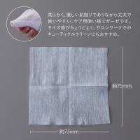 PREGEL ソフトガーゼ 100枚入