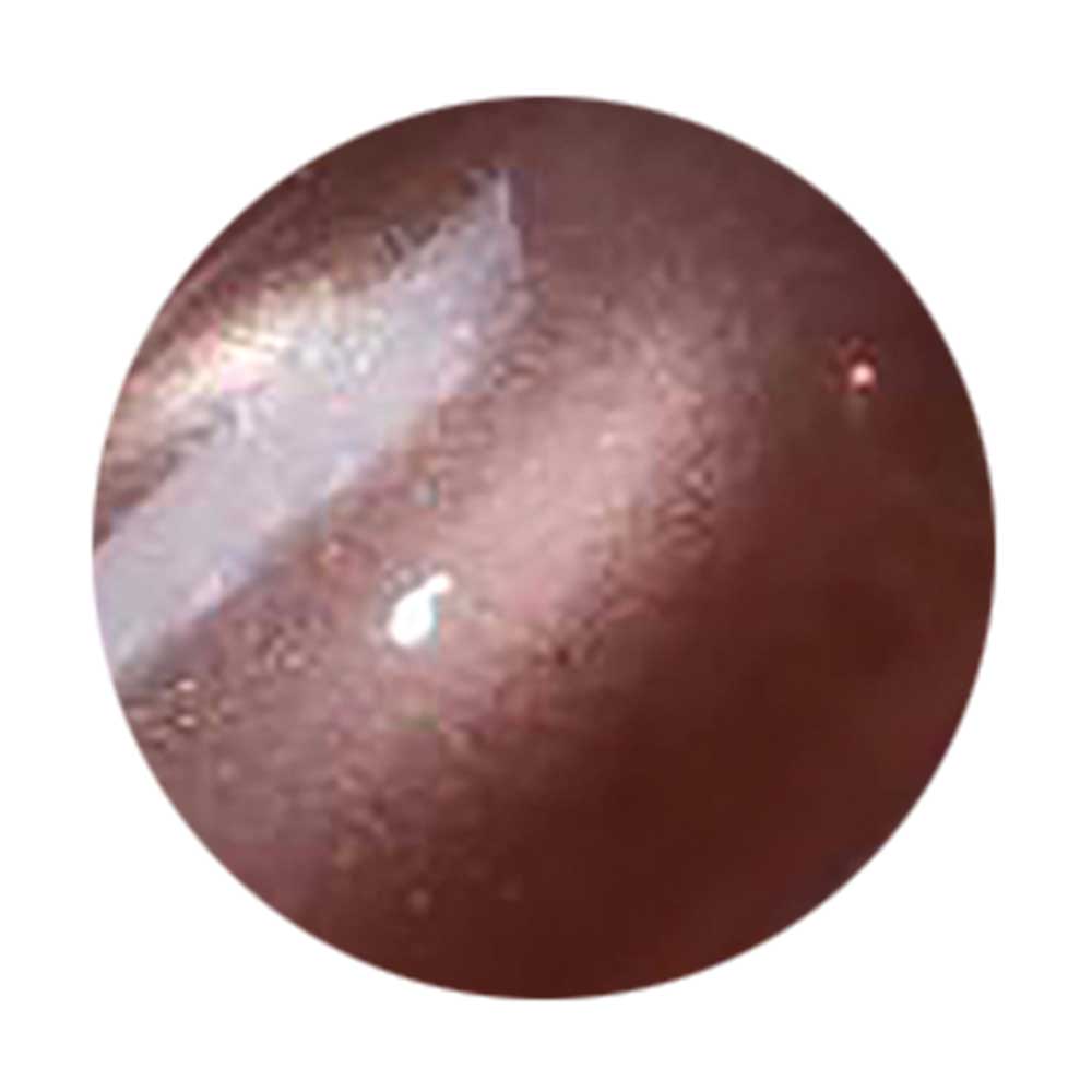 ICE GEL ジェントロン ミストスターギャラクシージェル カシミヤ 3g 1742 カラメル